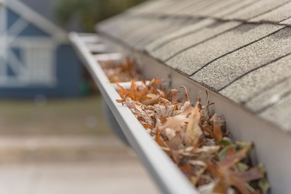 Leaf Barrier Installation in Ellicott City